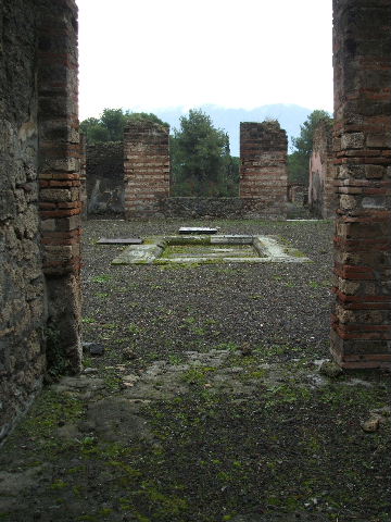 VIII.2.39 Pompeii.  May 2006.  Lararium niche in small room in north east corner of atrium.  This was painted red with a genius in a toga, holding a cornucopia and standing to the left of a round altar.  To the right was a figure in blue and yellow with a diadem and sceptre in the left hand and a patera in the outstretched right hand.  This was possibly Juno.
See Fröhlich, T., 1991. Lararien und Fassadenbilder in den Vesuvstädten. Mainz: von Zabern. (p. 291, L95, T:44,1).
See Boyce G. K., 1937. Corpus of the Lararia of Pompeii. Rome: MAAR 14.  (p. 75, no. 349, pl.19,2).

