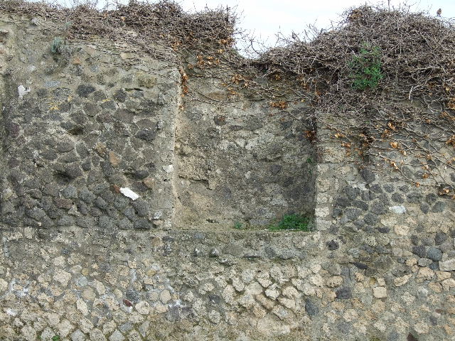 VIII.3.1 Comitium. Sala delle Elezioni. South wall.