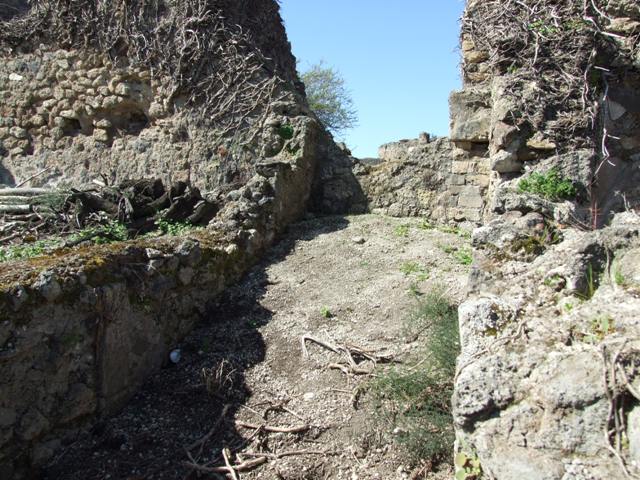 VIII.3.4 Pompeii. March 2009. Room 18. Rear garden area. Looking East.