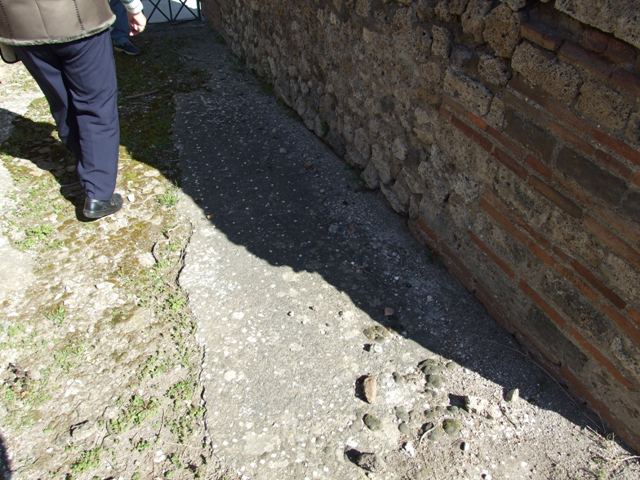 VIII.3.4 Pompeii.  March 2009.  Room 9. Tetrastyle Atrium. Looking south east across site of Impluvium.