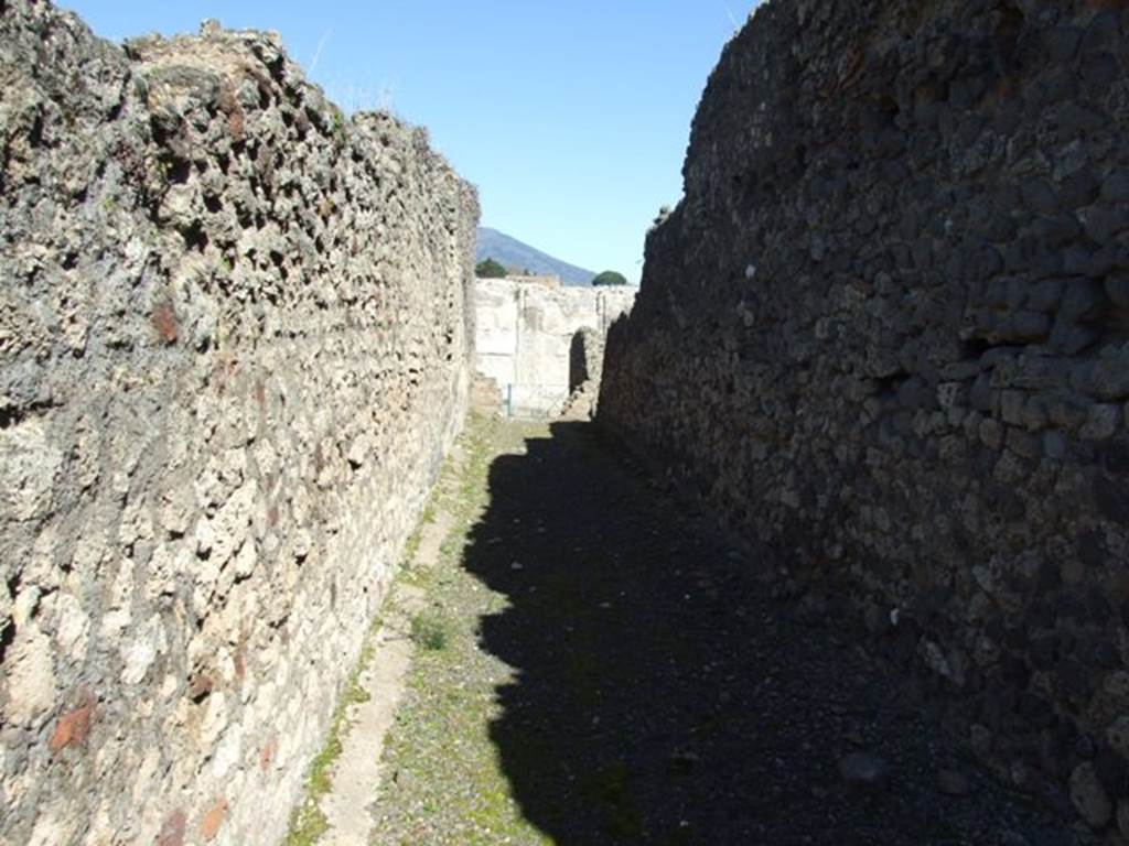VIII.3.6 Pompeii.  March 2009.  Corridor looking north to entrance. 