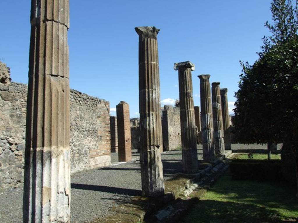 VIII.5.28 Pompeii.  March 2009.  Room 10, Peristyle garden area, looking east along North Portico.