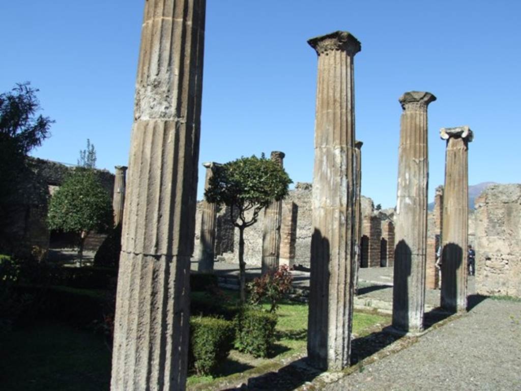 VIII.5.28 Pompeii. March 2009. Looking north-west towards atrium along east portico.