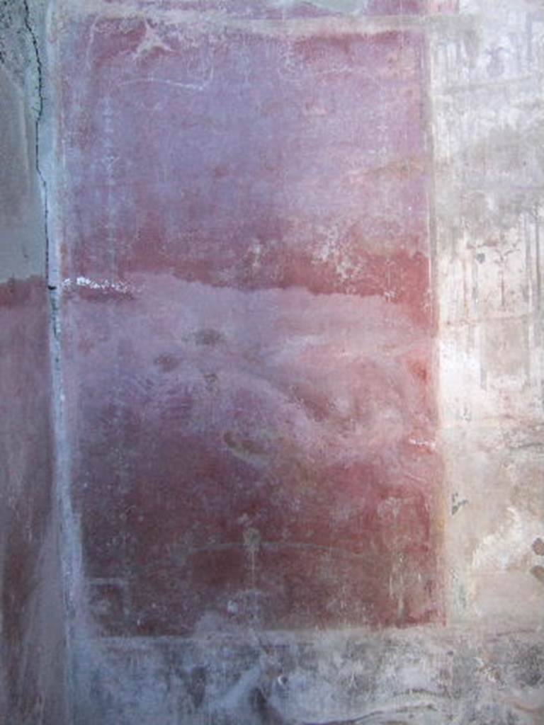 VIII.5.37 Pompeii. September 2005. Room 13, oecus. Painted panel on east end of south wall.
