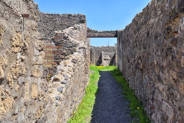 IX.1.7 Pompeii. December 2007. Three niches on south wall of atrium..