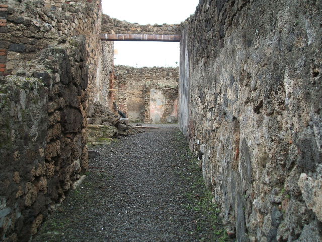IX.1.7 Pompeii. December 2007. Three niches on south wall of atrium.