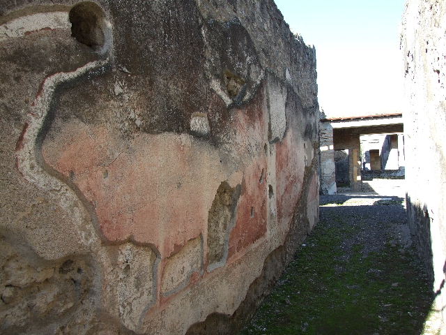 IX.1.22 Pompeii. December 2007. Room 1, atrium. Household shrine in south-east corner with painting of a bird.