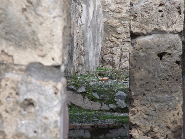 IX.2.12 Pompeii. December 2007. Niche in north wall. According to Boyce, this square niche was painted red on the inside, the same as the one found in IX.2.11. He said that one or both of them may have been lararia.
See Boyce G. K., 1937. Corpus of the Lararia of Pompeii. Rome: MAAR 14. (p.80-81)