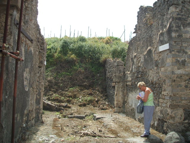 IX.6.8 Pompeii. May 2005. Remains of painted plaster on south side of atrium.