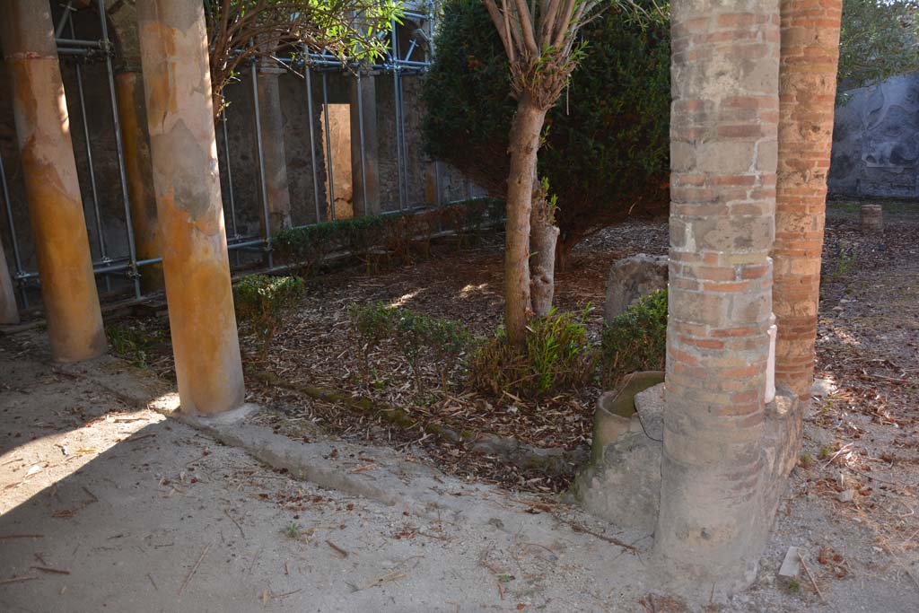 IX.7.20 Pompeii. October 2019. Looking towards east portico, from north portico.
Foto Annette Haug, ERC Grant 681269 DÉCOR.

