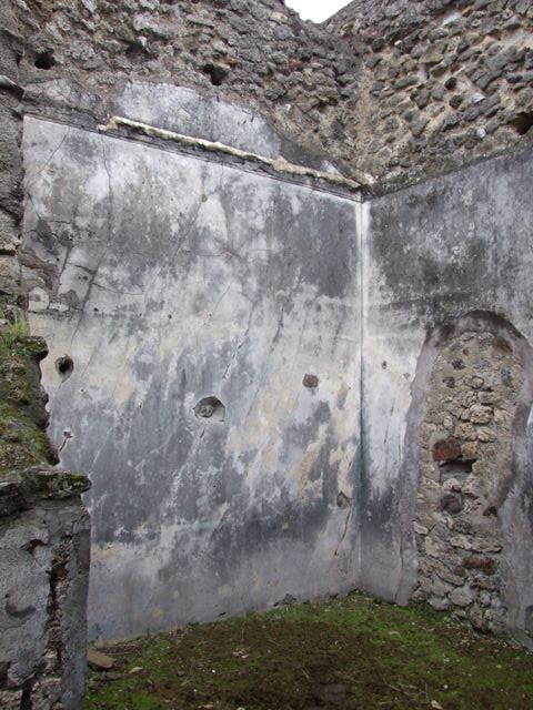 IX.8.6 Pompeii. March 2009. Room 31, Frigidarium with pool. Looking south.