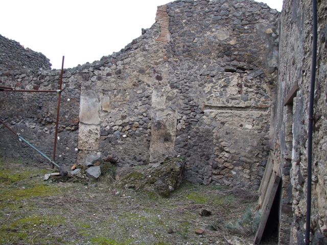 IX.8.6 Pompeii. March 2009. Room 36, West wall.
