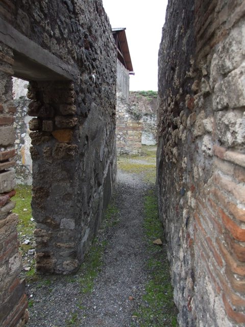 IX.8.6 Pompeii. March 2009.  Nymphaeum south of peristyle. West side.