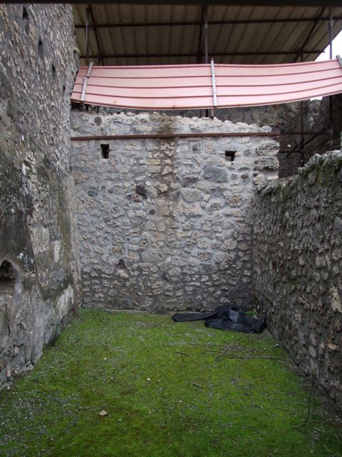 IX.8.6 Pompeii. March 2009. Room 24. Looking south.