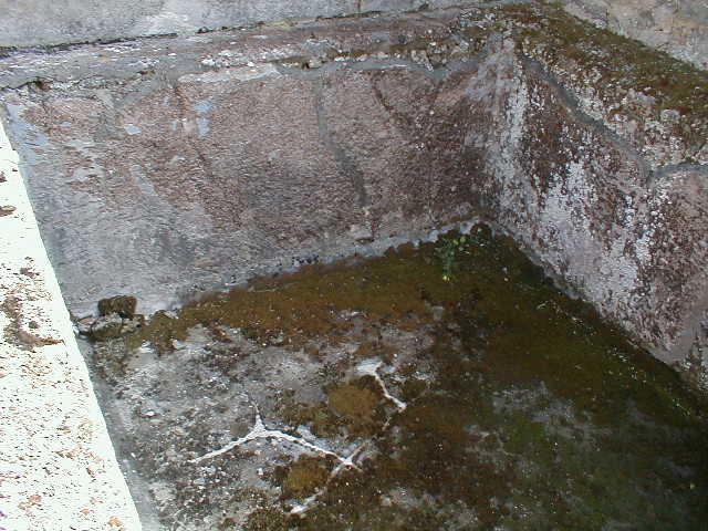 IX.8.6 Pompeii. March 2009. Room 22. Remains of stairs against north wall.