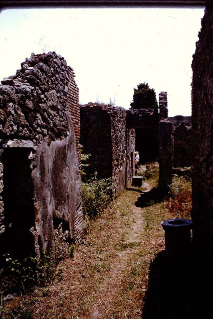 IX.9.6 Pompeii. May 2006. Corridor to rear portico and garden.