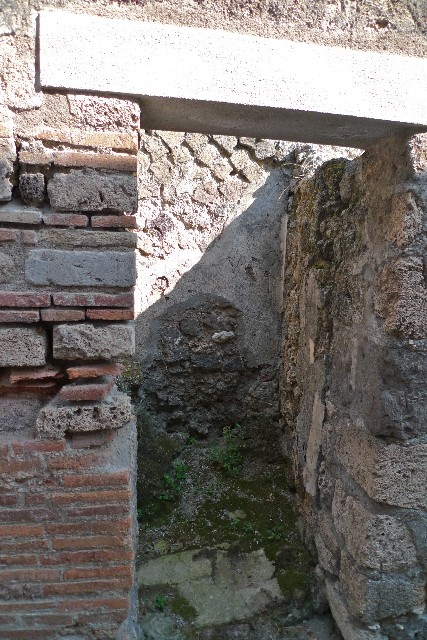 IX.9.c Pompeii. March 2009. Looking east along entrance fauces towards garden.
