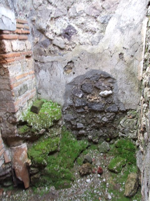 IX.9.c Pompeii. March 2009. Cubiculum. North wall.
