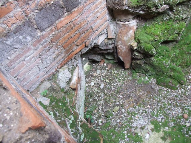 IX.9.c Pompeii. March 2009. Lararium Niche.