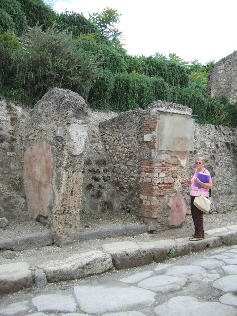 IX.11.7 (rear of) May 2010.  Columns from peristyle being excavated on west side of IX.12.