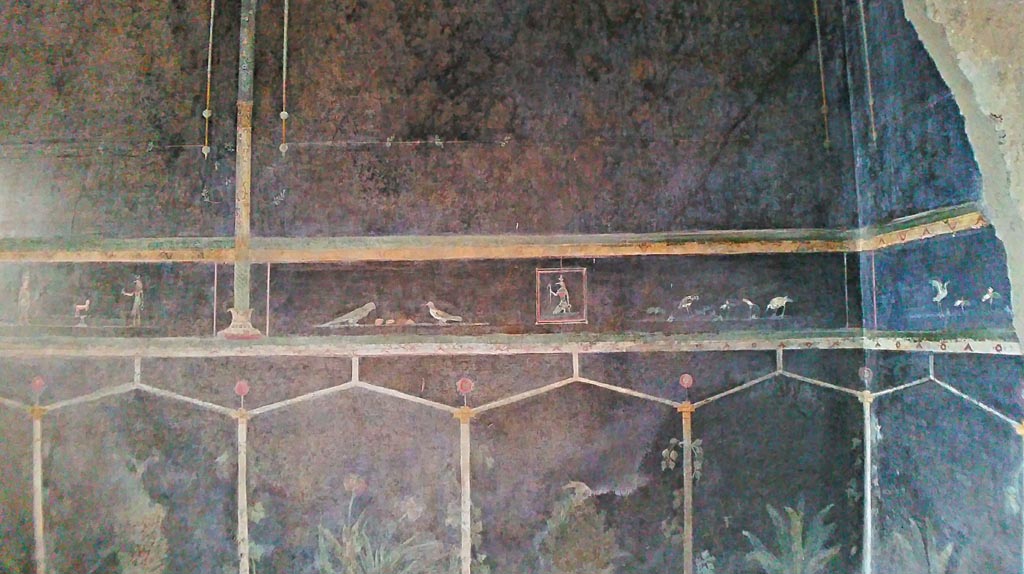 Villa of Mysteries, Pompeii. c.2015-2017. 
Room 2, tablinum, detail from east end of north wall and north-east corner. Photo courtesy of Giuseppe Ciaramella.

