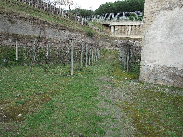 Finds from Villa Regina Boscoreale. Now in Boscoreale Antiquarium.