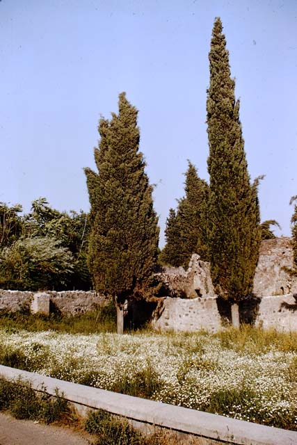 Via dei Sepolcri, west side, May 2006. Looking south from the Villa of Diomedes.