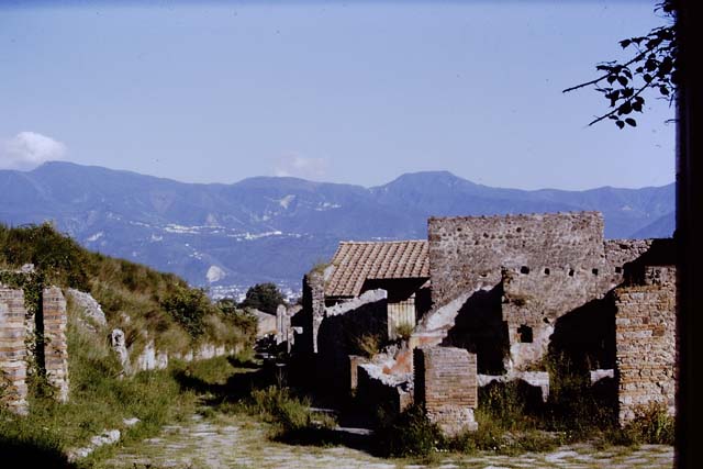 Via del Vesuvio, west side, May 2010. Looking north at the water tower, near VI.15.18.