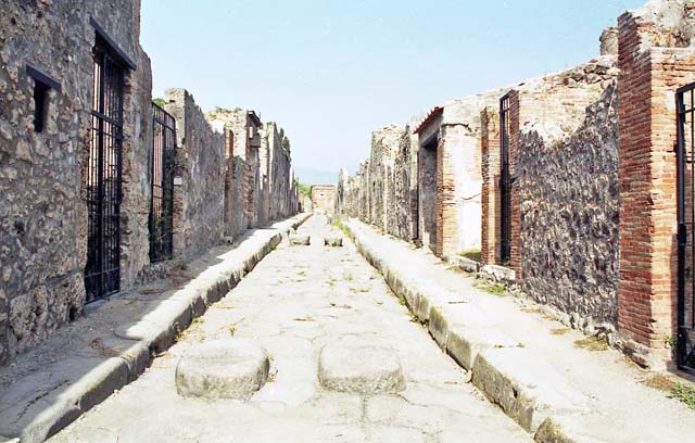 Vicolo dei Vettii, east side. May 2010. Looking south from VI.15.8.