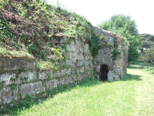 Tower VII