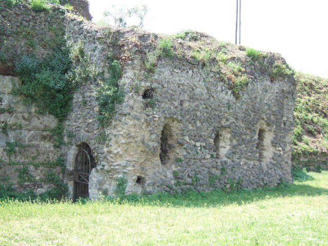 Tower VII