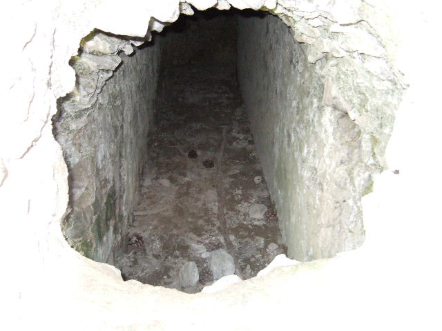 Tower VII