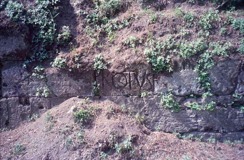 T7 Pompeii. July 2011. Inscription to PROTVS on walls near Tower VII. Photo courtesy of Rick Bauer.

According to Epigraphik-Datenbank Clauss/Slaby (See www.manfredclauss.de) this reads

Protus      [CIL IV, 2500 = CIL X, 8357 = AE 2004, +00398]

