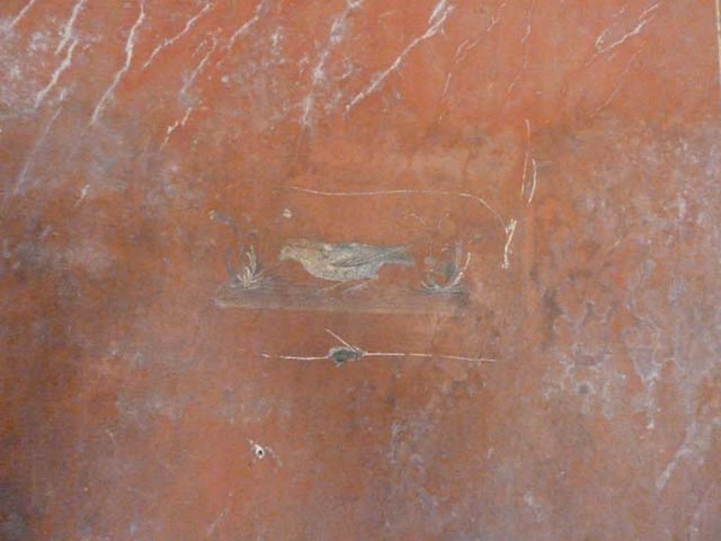 Oplontis, September 2015. Room 66, painted bird from middle of centre panel of west wall.