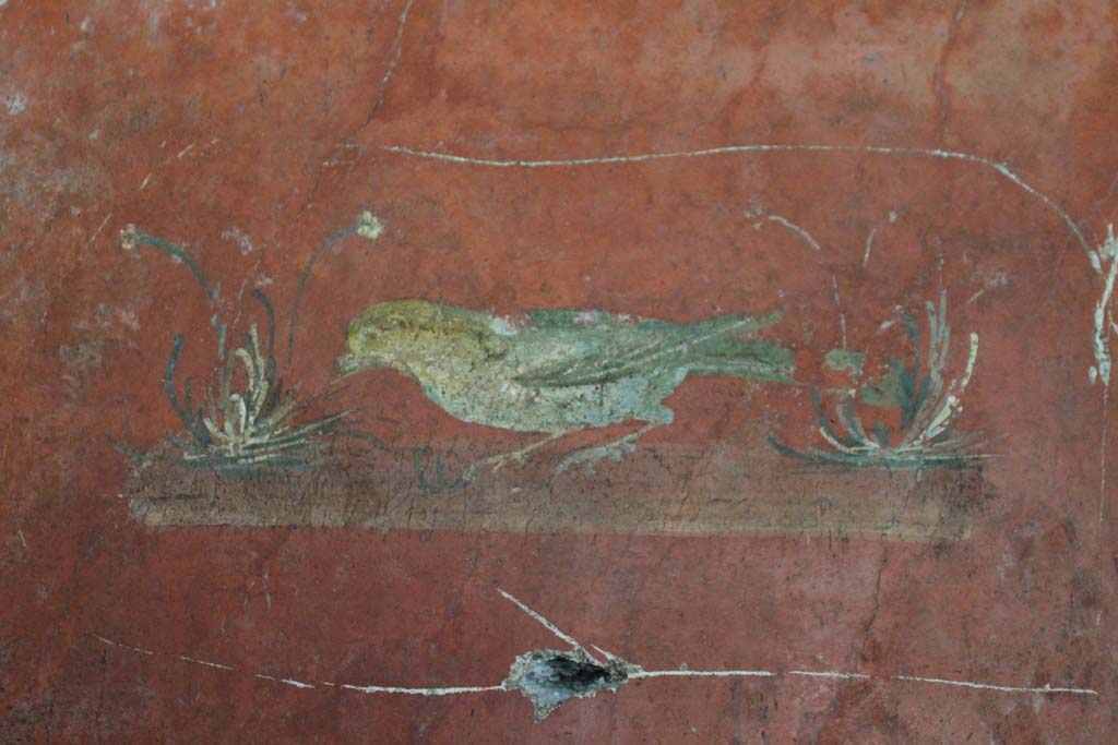 Oplontis Villa of Poppea, March 2014. Room 66, detail of painted bird from middle of centre panel of west wall.
Foto Annette Haug, ERC Grant 681269 DÉCOR.

