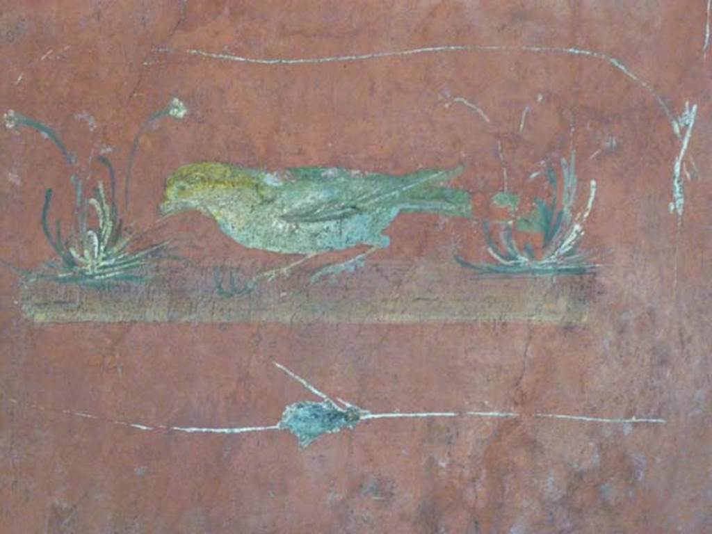 Oplontis, May 2011. Rom 66, detail of bird with plants from central panel of west wall. Photo courtesy of Michael Binns.
