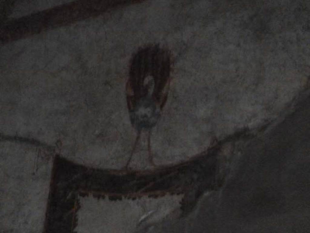 Oplontis, September 2015. Room 66, painted peacock from upper west wall at south end.