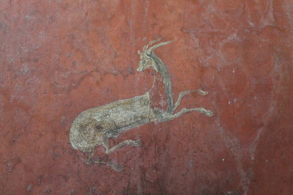 Oplontis Villa of Poppea, March 2014. Room 66, detail of painted deer from west wall.
Foto Annette Haug, ERC Grant 681269 DÉCOR.
