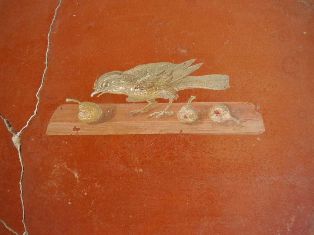 Oplontis Villa of Poppea, September 2018. Room 81, painted panel of bird pecking at fruit from north wall.
Foto Anne Kleineberg, ERC Grant 681269 DÉCOR.

