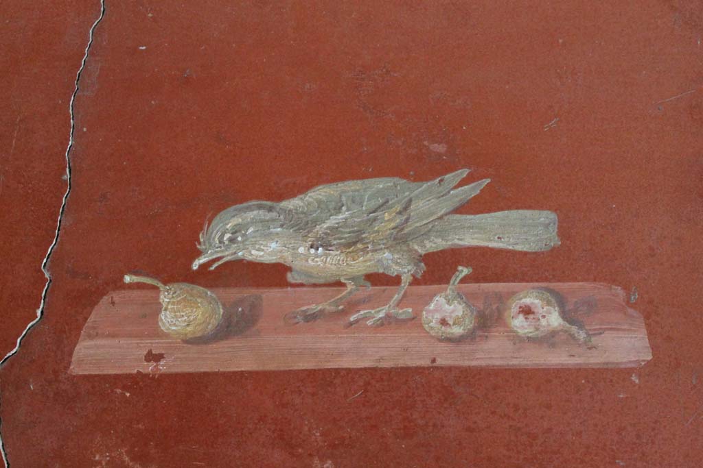 Oplontis Villa of Poppea, March 2014. Room 81, painted panel of bird pecking at fruit from north wall.
Foto Annette Haug, ERC Grant 681269 DÉCOR.
