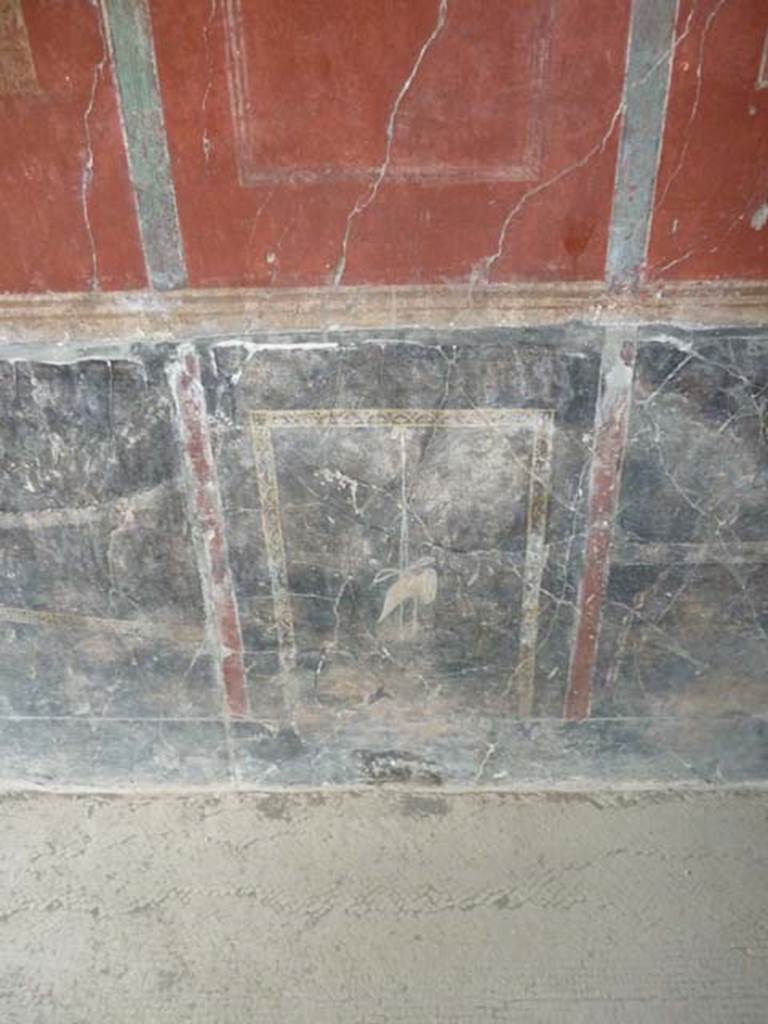 Oplontis, September 2015. Room 81, zoccolo on south wall.