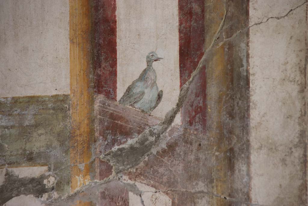 Oplontis Villa of Poppea, September 2021. Room 81, detail of dove from centre of south wall. Photo courtesy of Klaus Heese.
