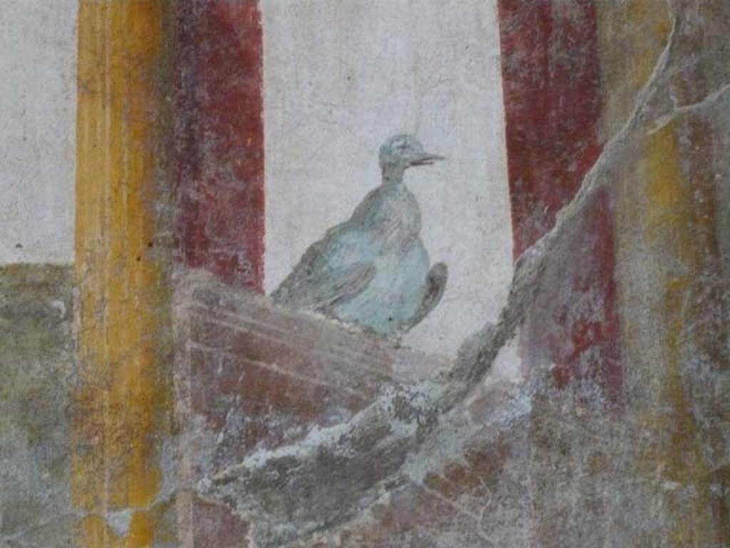 Oplontis, September 2015. Room 81, detail of painted dove from panel on south wall.

