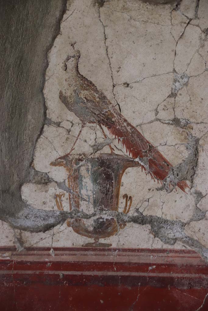 Oplontis Villa of Poppea, September 2021.  
Room 81, detail of peacock from panel on south wall. Photo courtesy of Klaus Heese.

