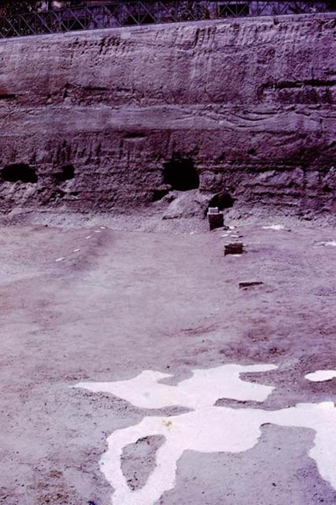 Oplontis, 1977. Looking north-west in the north garden.
Looking from the huge root cavity found in 1974, which took 230 large buckets of cement to fill in 1975, along the diagonal line of a pathway, with bases.
Wilhelmina thought the diagonal pathway probably joined with the central pathway leading out from room 21, although this could not be proved as the meeting point would be under the still unexcavated area.
Photo by Stanley A. Jashemski.
Source: The Wilhelmina and Stanley A. Jashemski archive in the University of Maryland Library, Special Collections (See collection page) and made available under the Creative Commons Attribution-Non Commercial License v.4. See Licence and use details.
J77f0358
According to Wilhelmina, At the edge of the diagonal passageway on the east, four masonry statue bases were found. On them the marble shafts that supported the sculptured white marble heads had been mounted. In 1975, we had found the portrait head of a woman of the Julio-Claudian period. In addition, the Italian excavators had found the head of the goddess Aphrodite, the child Dionysus and the fine head of a Julio-Claudian boy, which some claimed was most certainly the child Nero.
These herms, which would have been set in the middle of clumps of plants, mainly oleanders, reminded us of the garden paintings that showed sculpture set amid masses of flowering oleanders. Only the shaft of one other herm was found, and a few details of the hair still on the shaft were sufficient for Stefano De Caro to identify the missing head as that of a bearded archaic-type Dionysus. 
See Jashemski, W.F., 2014. Discovering the Gardens of Pompeii: Memoirs of a Garden Archaeologist, (p.255)
