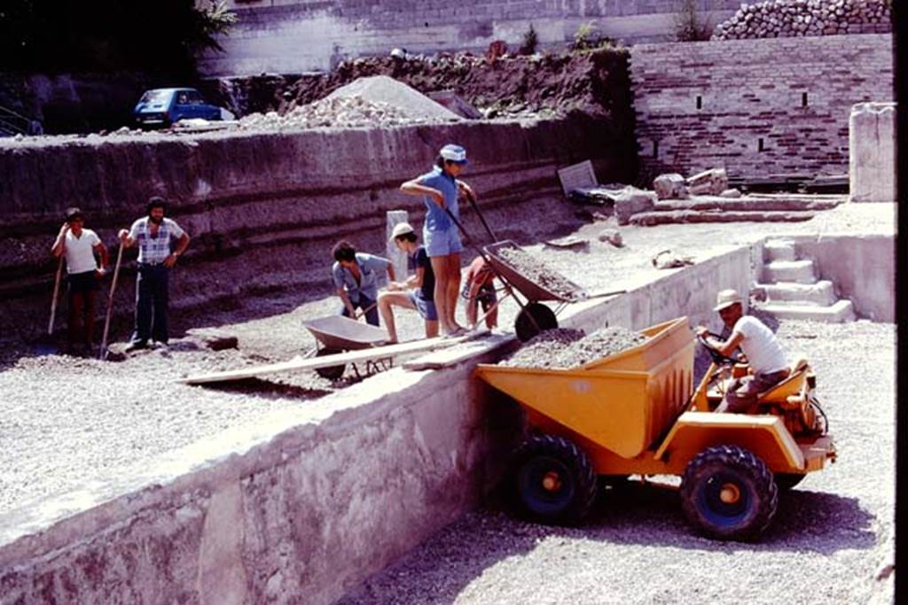 Oplontis, 1978. Area 92, looking south along east side of pool. The Scavi workmen had removed much of the lapilli, now the remaining was carefully being removed. 
Photo by Stanley A. Jashemski.   
Source: The Wilhelmina and Stanley A. Jashemski archive in the University of Maryland Library, Special Collections (See collection page) and made available under the Creative Commons Attribution-Non Commercial License v.4. See Licence and use details. J78f0251
According to Wilhelmina, during this summer we did our first excavating in the south part of the area on the east side of the large swimming pool. It was here they had found the statues of the ephebos, Nike and Hercules which were displayed on their bases. Five other statue bases were found, but without statues.
See Jashemski, W.F., 2014. Discovering the Gardens of Pompeii: Memoirs of a Garden Archaeologist, (p.265). 
