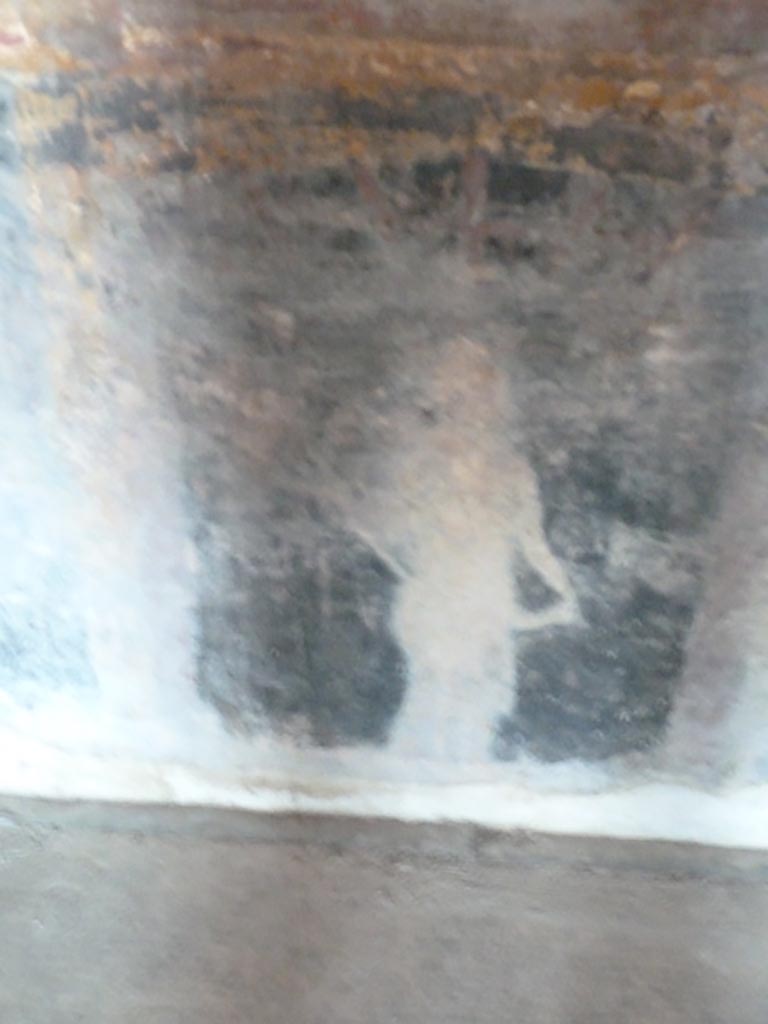 Stabiae, Villa Arianna, September 2015. 
Room 11, central panel of black zoccolo on south wall, with figure.
