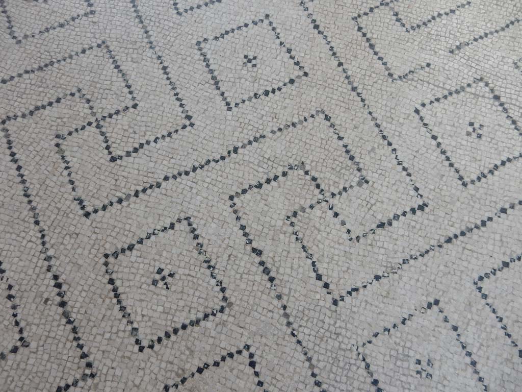 Stabiae, Villa Arianna, June 2019. Room 12, detail of mosaic floor. Photo courtesy of Buzz Ferebee.