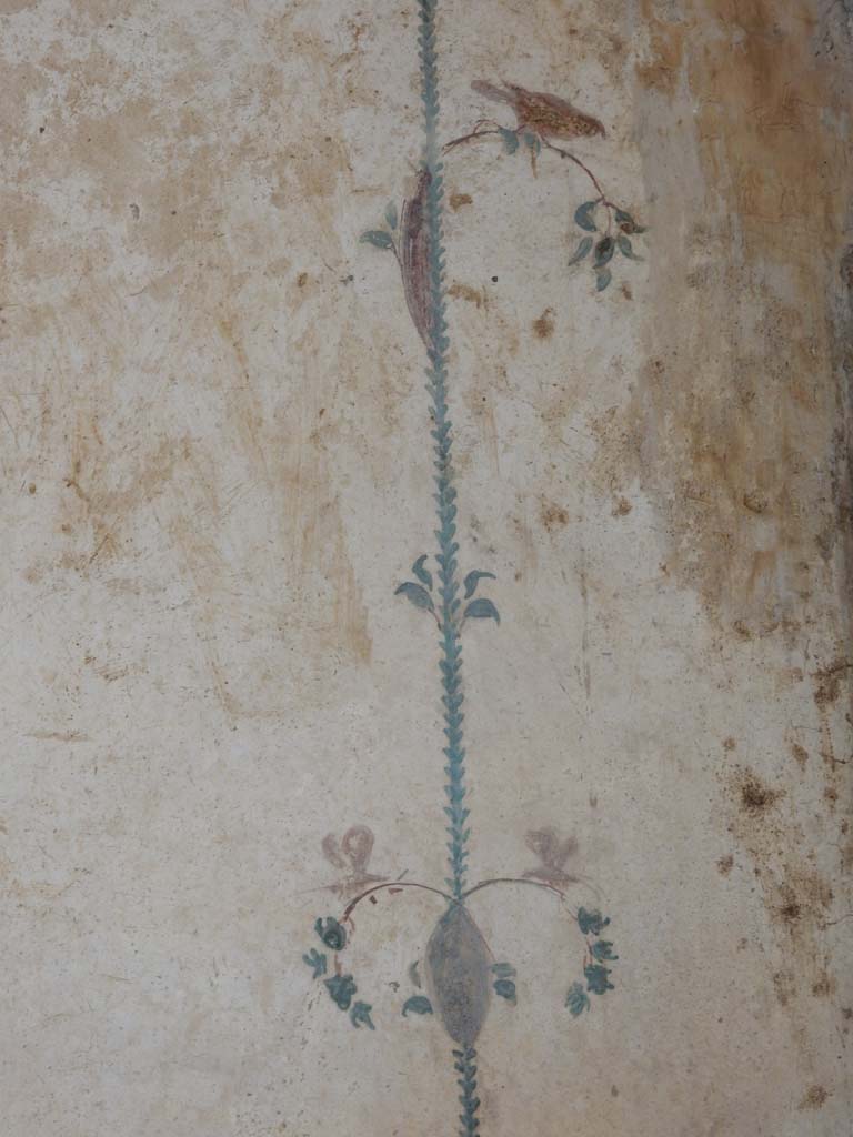 Stabiae, Villa Arianna, June 2019. Room 12, detail from east wall in south-east corner.
Photo courtesy of Buzz Ferebee.
