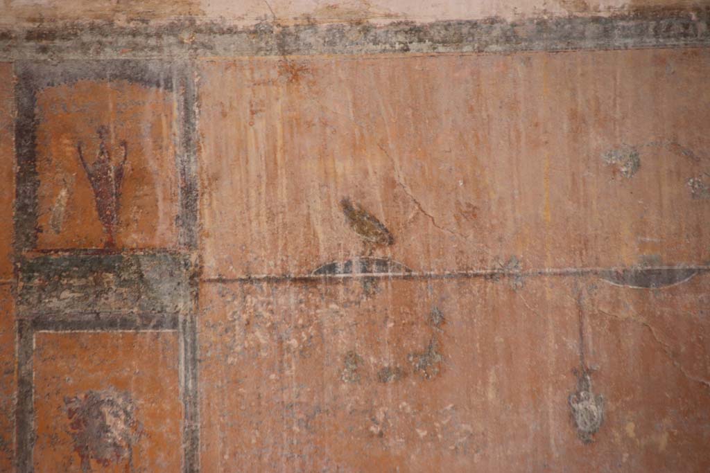 Stabiae, Villa Arianna, September 2021.  
Room 12, detail of painted zoccolo decoration towards east end of south wall. Photo courtesy of Klaus Heese.

